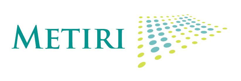 METIRI, Projectbegeleiding in de Civiele Techniek.